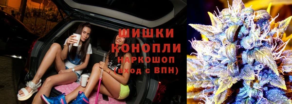 метадон Сафоново