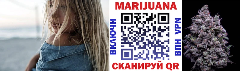 Шишки марихуана конопля продажа наркотиков гидра ссылка Вельск